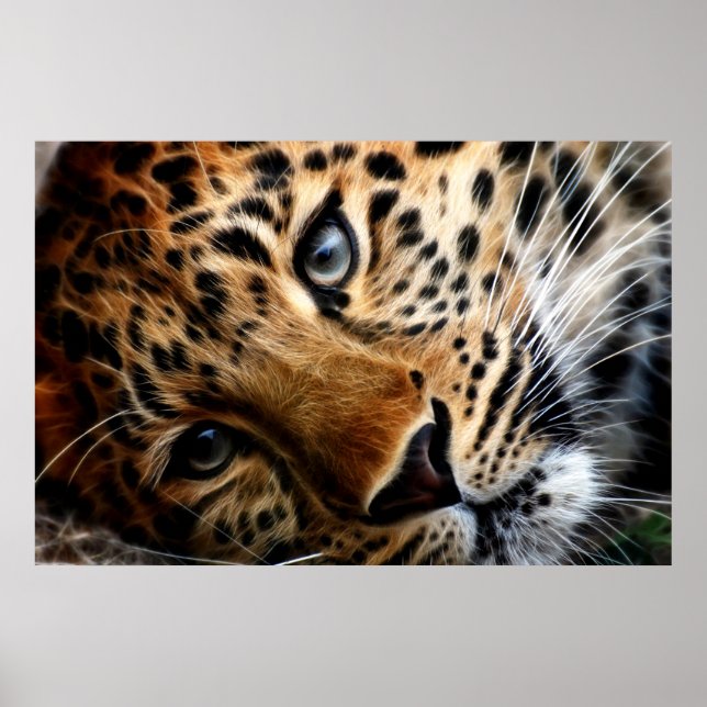 Tigre 3 - Poster (Frente)