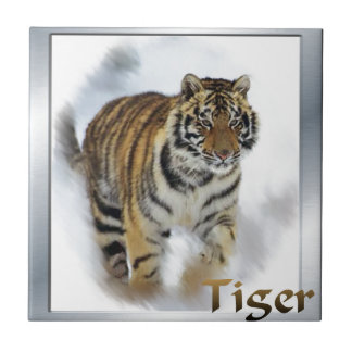 Tigre Amante de Arte