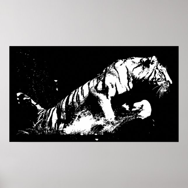 Tigre Atacando o Impressão de Poster - Tigre Preto (Frente)