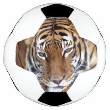 Tigre - Bola de Futebol