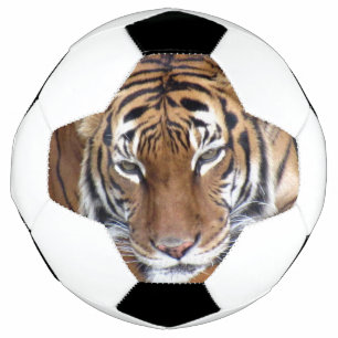 Tigre - Bola de Futebol