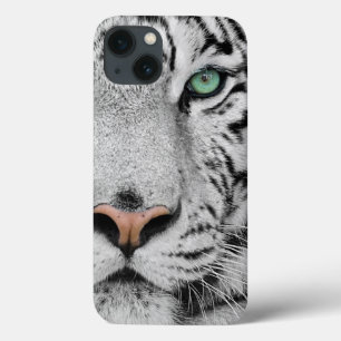 Tigre branco