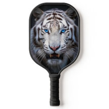 Tigre Branco Olhos Azuis