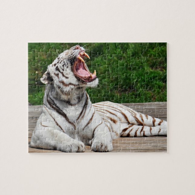 Tigre Branco, Quebra-cabeça do Tigre-de-bengala (Horizontal)