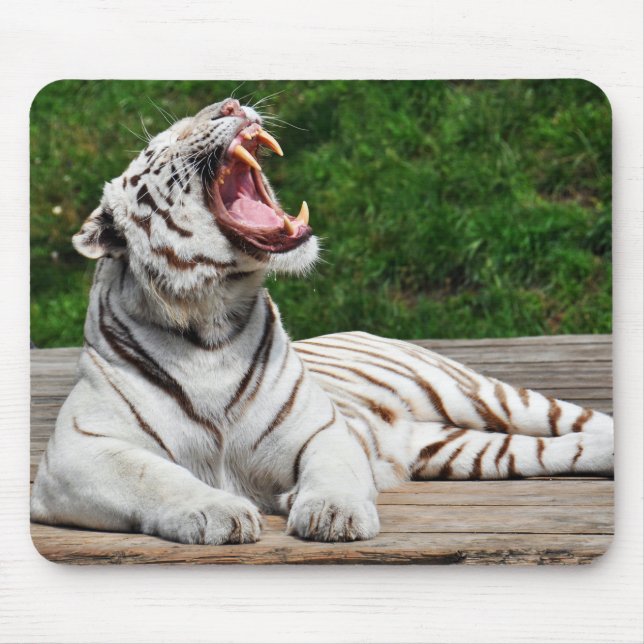 Tigre Branco, Tigre-de-bengala Mousepad (Frente)