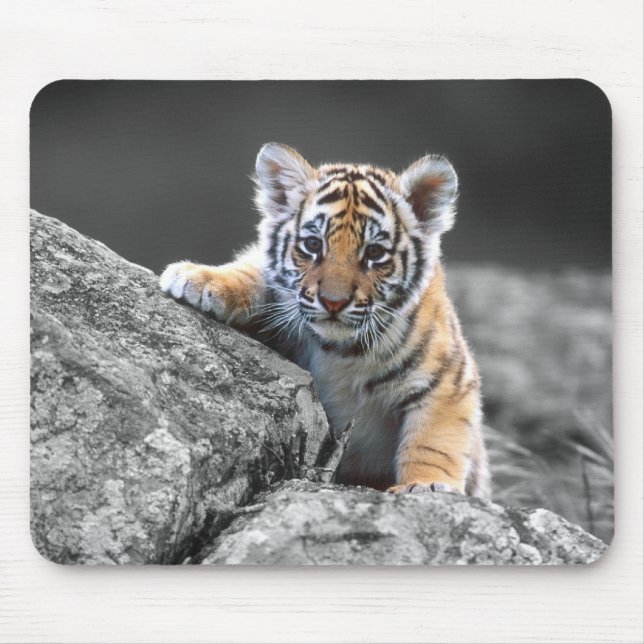 Tigre Cub adorável Mousepad (Frente)