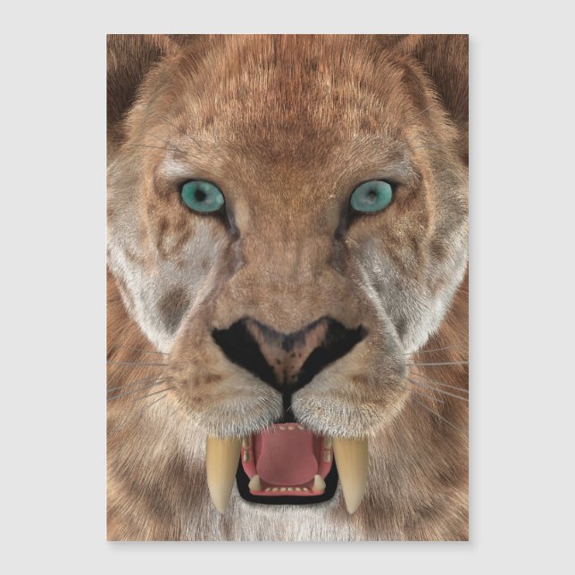 Tigre de dentes Saber ou Smilodon (Frente)