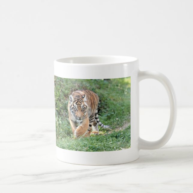 Tigre de fotos, gato, caneca de café (Direita)