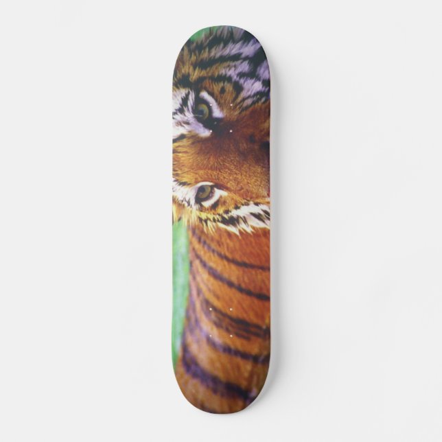 Tigre do skate (Frente)