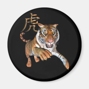 Tigre e imã de geladeira chinesa do símbolo