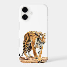 Tigre Em Um Log