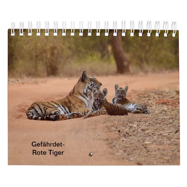 Tigre em Vermelho como calendários (Capa)