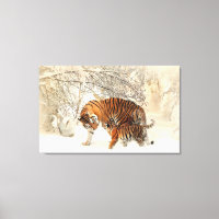 Tigre Family em Winter Landscape Canvas Print
