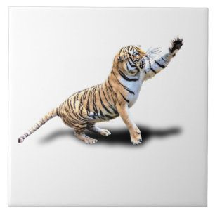 TIGRE IRRITADO