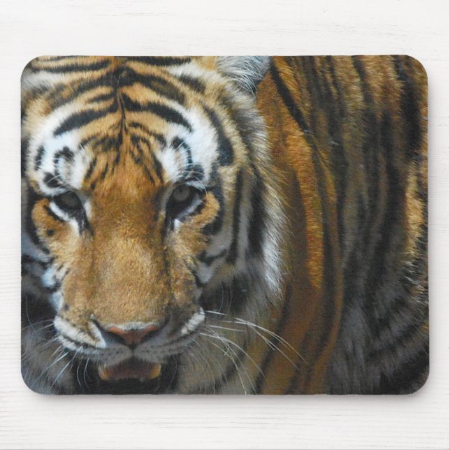 Tigre Mousepad (Frente)