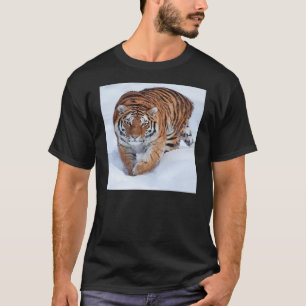 Tigre na camisa do gelo