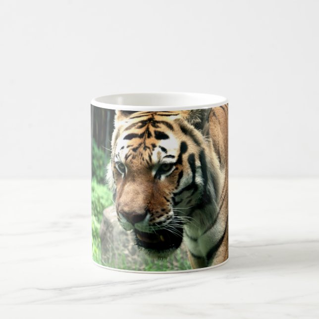 Tigre na caneca do jardim zoológico de Bronx (Centro)