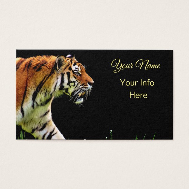 Tigre na Prowl (Frente)