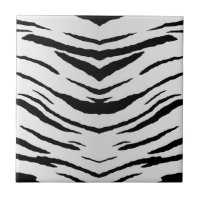 Tigre ou zebra branca listrado