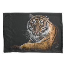 Tigre Selvagem Selvagem Selvagem