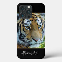 Tigre Siberiano, Tigre de Amur