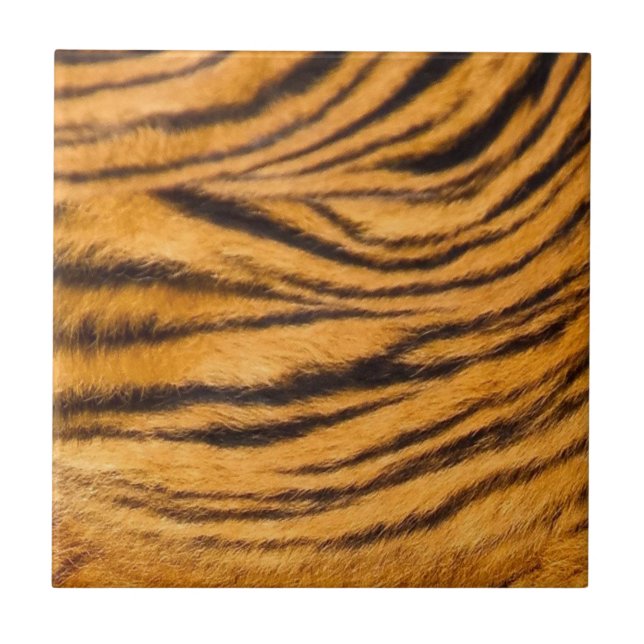 Tigre Stripes Pele Preto e Laranja Personaliza (Frente)