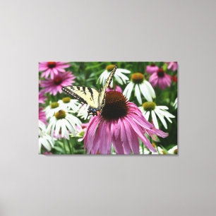Tigre Swallowtail Butterfly Flor Canvas Print