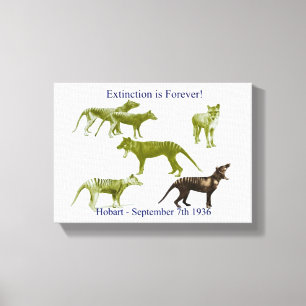 Tigre Tasmaniano Tylacine Canvas Imprimir