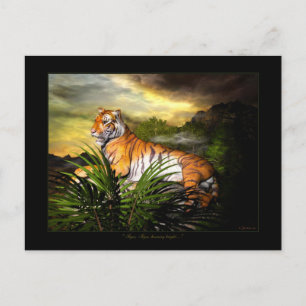 Tigre, Tigre, Brilhando Intensamente Cartão Postal