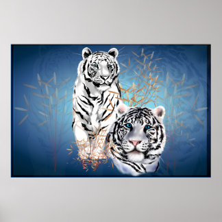 Tigres brancos - Posters