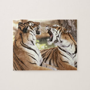 Tigres Quebra-cabeça