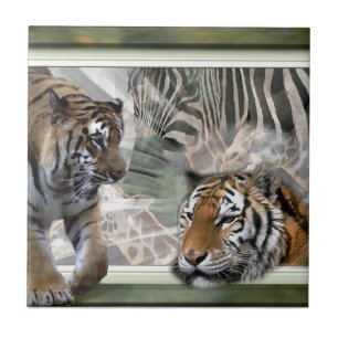 Tigres, zebra, girafa, selva primitiva