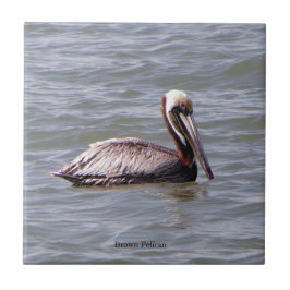 Tijolo Pelicano Castanho