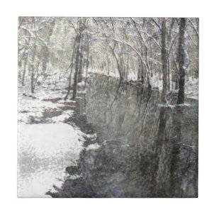 TILE/CREEK CERÂMICO E ÁRVORES NO INVERNO B & W