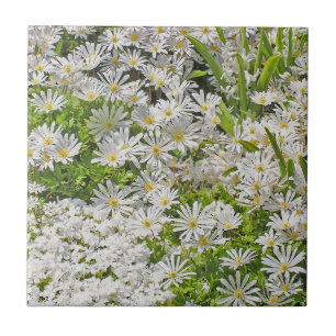 TILE/TRIVET CERÂMICO COM AS MARGARIDAS DE SHASTA