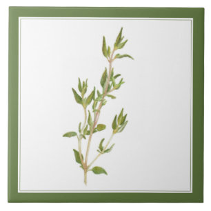 TILO FRESCO Azulejo Cerâmico 6x6 (-text) Verde