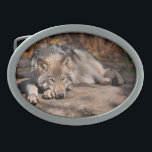Timber Wolf<br><div class="desc">Muitas pessoas têm fascínio pelos lobos. Com este item estou compartilhando meu amor por esses animais incríveis.</div>