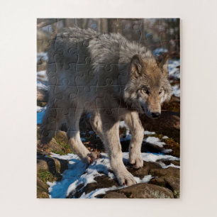 Timber Wolf Jigsee Quebra-cabeça