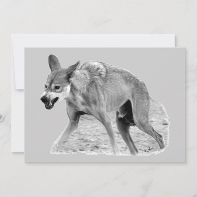 Timber Wolf Snarl (Frente)