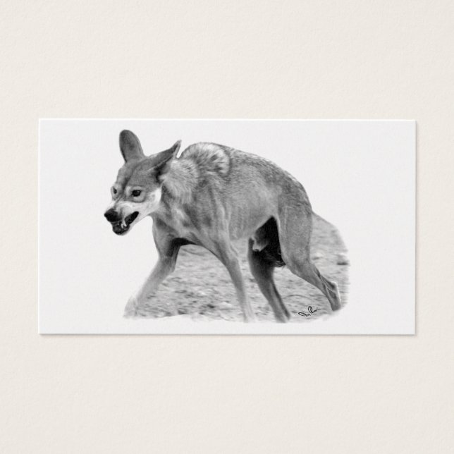 Timber Wolf Snarl (Frente)