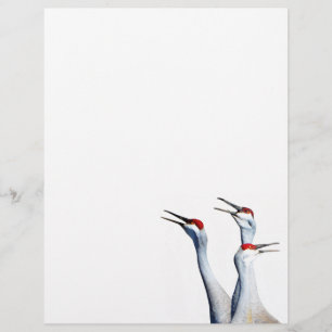 Timbrado 3 Sandhill Cranes Fotografia Papel Letterhead