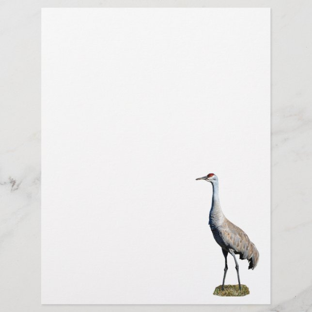 Timbrado Papel Letterhead Fotográfico Sandhill Crane (Frente)