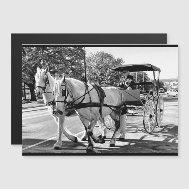 Timeless Journey Magnetic Card (Frente/Verso)