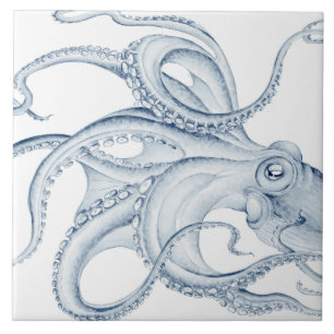 Tinta Kraken de Octopus Cephalopod Azul