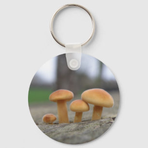 Tiny Toadstools Macro Chaveiro