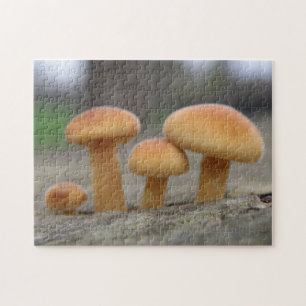 Tiny Toadstools Macro Quebra-cabeça