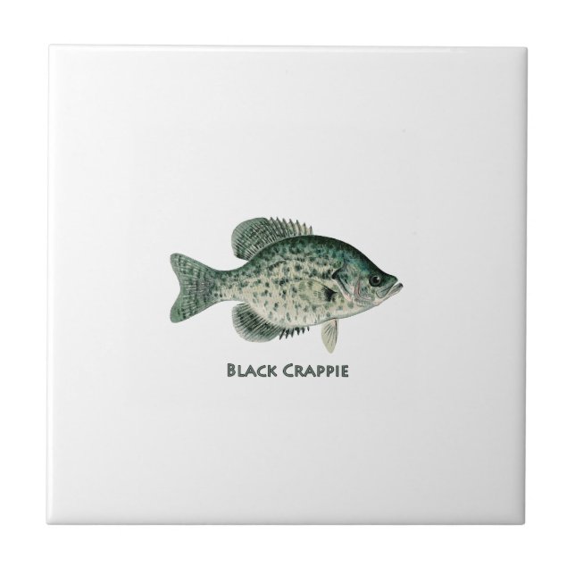 Tipo de peixe preto (Frente)