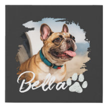 Tipografia de Foto e Nome de Animal de Estimação P