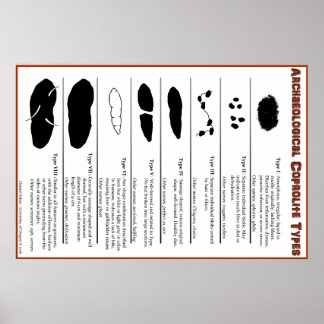 Tipos de Coprolite Arqueológica Poster