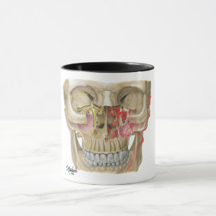 Tiro de caneca Pterygopalatine da fossa